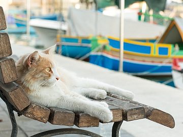 Zdjęcie kierunku: Malta